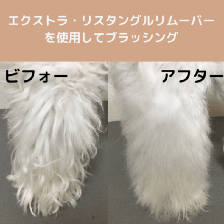 BIOGANCE バイオガンス エクストラ・リス タングルリムーバー